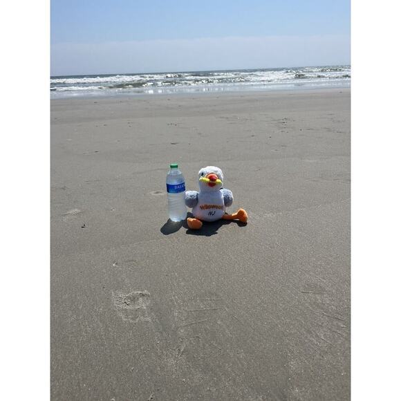 Wildwood Seagull Plush Toy Wildwood NJ NEW Sunny’s Brother Beach gift Christmas - Picture 5 of 11
